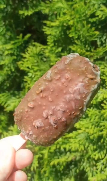 Только на такси по Киеву! Мороженое "Соленая карамель" в молочном шоколаде с арахисовым кранчем без лактозы, без сахара, 90 г, Vільні фото