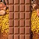 Шоколад молочный с гречихой и ройбушем, 20 г, Healthy Choice фото 3